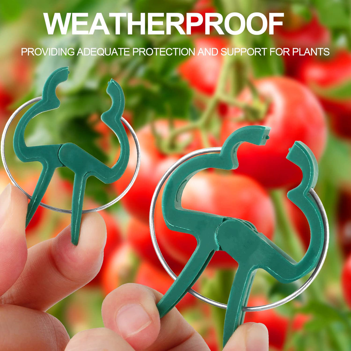 Yinghezu 120 Pcs Plant Support Clips,Tomato Plant Clips 2 Sizes in one Pack