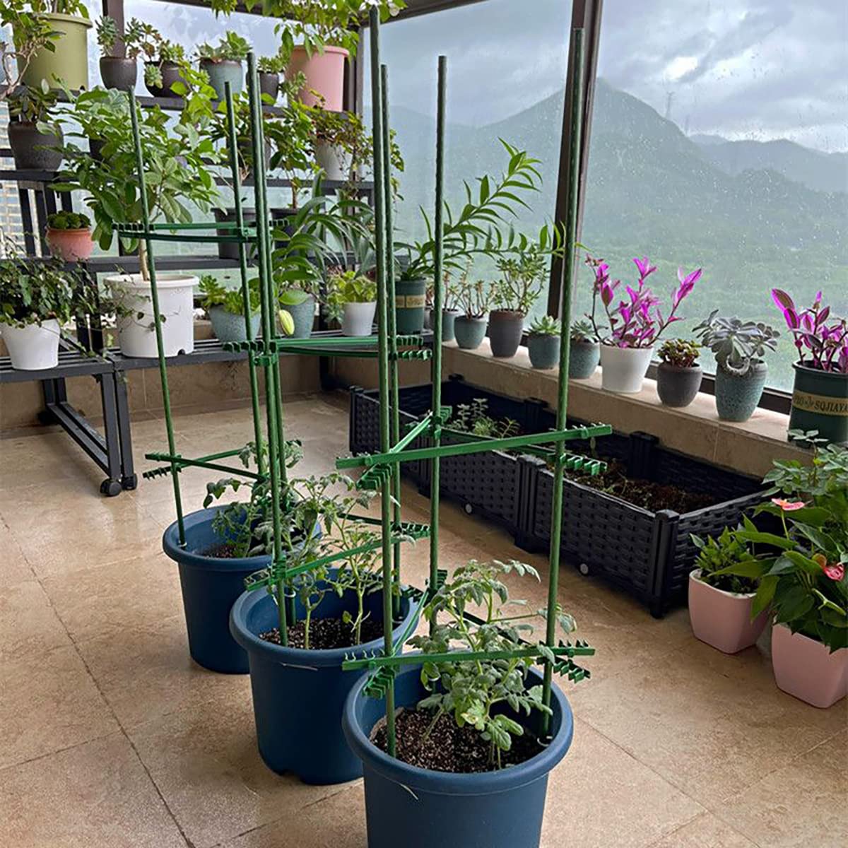 4Feet 48inch Garden Stakes Sturdy Plant Sticks Support Tomato Stakes for Vegetable,Pack of 20