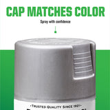 Rust-Oleum 7887830-6PK Specialty Appliance Epoxy Spray Paint, 12 oz, Stainless Steel, 6 Pack