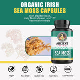 Ancient Bliss Organic Irish Sea Moss Pills - Dr Sebi Wildcrafted Seamoss Capsules | Thyroid, Healthy Skin & Gut Support | 120 Capsules