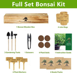 Bonsai Tree Kit, Bonsai Starter Kit with Seeds & Tools, Tree Live Plants Indoor, Gardening Gifts for Women Men Mom Father Plant Lover, Birthday Gifts for Women, Father Day Gifts