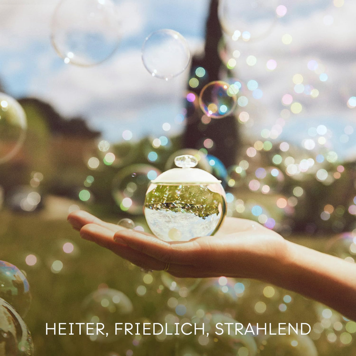 Cacharel Noa Eau de Toilette Spray Perfume for Women, 3.4 Fl. Oz (Pack of 1)