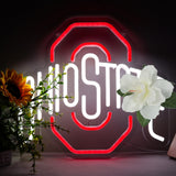 Pugna Football Neon Signs for Wall Decor University Football Team Neon Lights for Bedroom Led Signs Suitable for Dormitory Man Cave Christmas Gift