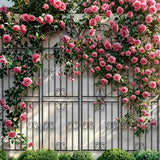 YOBAZAN Metal Garden Trellis, 86.7" H x 19.7" W Black Coated Wire Lattice Panel, Sturdy Plant Support for Climbing Roses Vines Cucumbers Vegetables Outdoor Patio Yard (4 Packs)