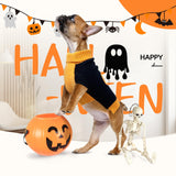 3 Pack Halloween Thanksgiving Christmas Dog Cat Knit Sweater Set - Dog Clothes with Santa Pattern Pumpkin Turkey Pets Costumes-Dog Fall Sweaters for Holiday(m)