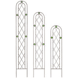 Arcadia Garden Products TR01 4' x 10" Arched Garden Trellis, Black