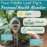 Fiddle Leaf Fig Health Meter, 3-in-1 Soil Moisture, Light & pH Testing Tool