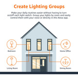 Amazon Basics Smart A19 LED Light Bulb, Color Changing, 9W (60W Equivalent), 800LM, Works with Alexa Only, 2.4 GHz Wi-Fi, No Hub Required, Energy Saving, 4-Pack