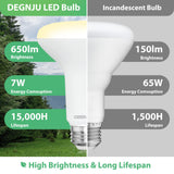 DEGNJU 12 Pack BR30 LED Recessed Light Bulb, Dimmable Indoor Flood Light Bulbs CRI80 7W Equivalent 65W 2700K Soft White 650 Lumens, 15000 Lifetime Hours E26 Base LED Can Light Bulb, Flicker-Free