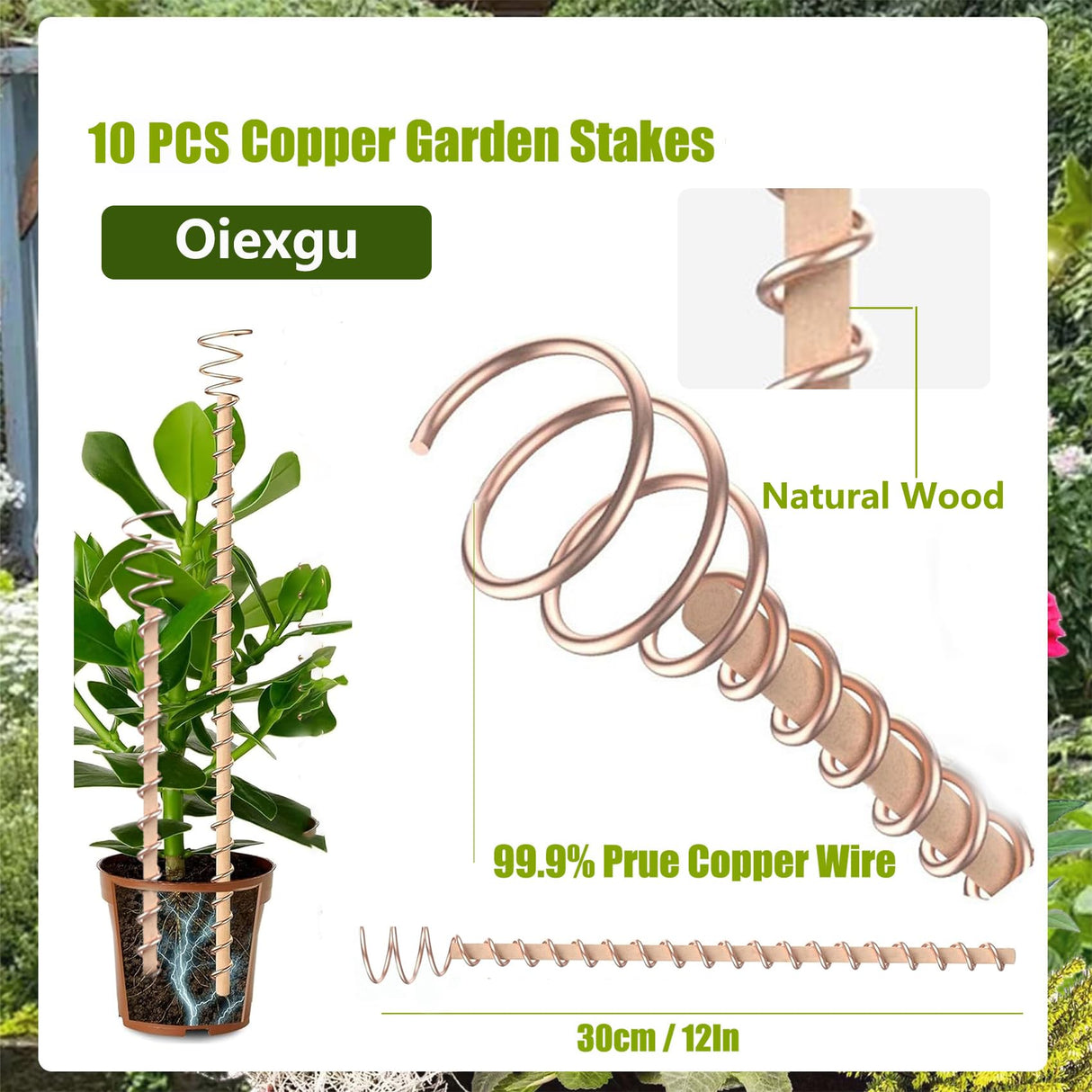 12" Electroculture Plant Stakes,10 Pack Copper Garden Stakes, Long Electroculture Copper Coil Antennas for Growing Vegetable Garden Plants Support High-Yield, Eco-Friendly