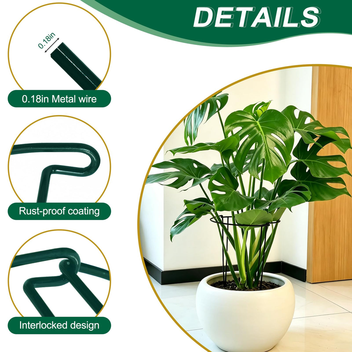 Tall Heavy-Duty 24in Plant Support Stakes - 8 Pack Adjustable Peony Cages & Supports for Outdoor Plants, Half-Round Garden Stakes for Hydrangea, Roses with Extension Stakes