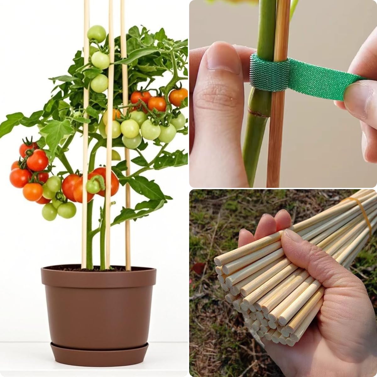 Vesyman 100 PCS 3FT Bamboo Plant Stakes, 6.3mm Thick Bamboo Stakes