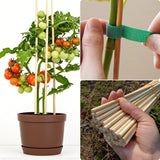 Vesyman 100 PCS 3FT Bamboo Plant Stakes, 6.3mm Thick Bamboo Stakes