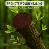 Tree Wound Sealer & Dressing, 500g Tree Pruning Sealer for Cut, Damaged Bark, Grafting – Effective Tree Repair Sealant for Shrub, Bonsai, Rose, Orchard | Horticulture Grade Seal Formula