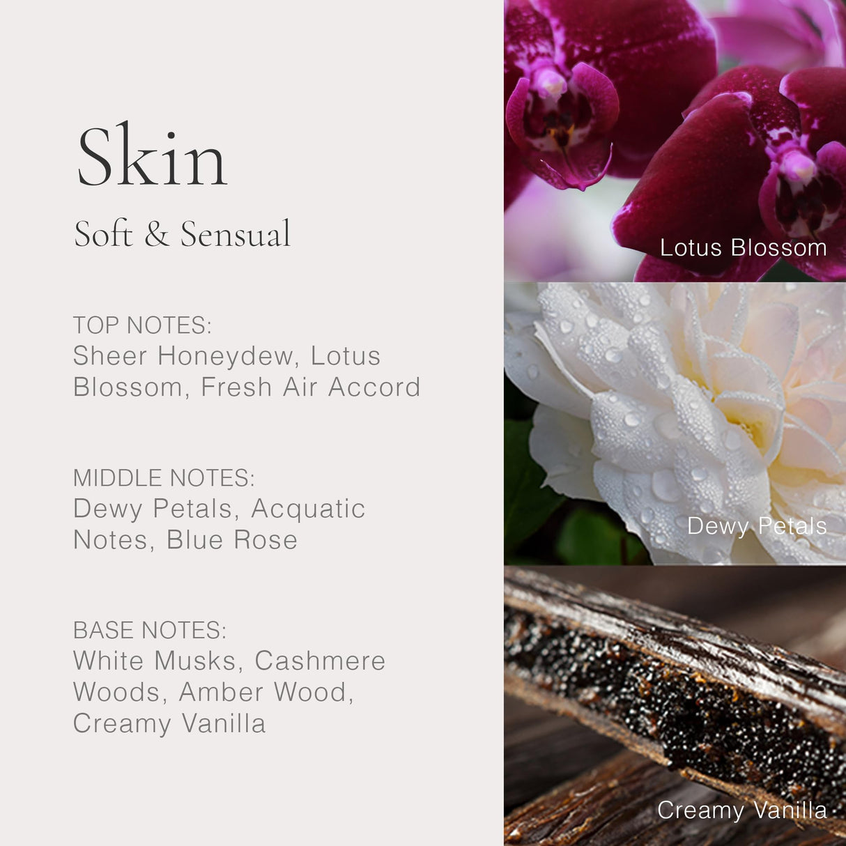 CLEAN CLASSIC Skin 60mL