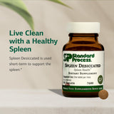 Standard Process Inc. Spleen Desiccated - Whole Food Immune Support, Spleen and Healthy Blood - Gluten Free - 90 Tablets