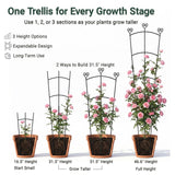 46.6" Tall Plant Trellis for Climbing Plants Indoor Outdoor, Durable Metal Trellis for Potted Plants, Adjustable Climbing Plant Support for Vines, Clematis, Morning Glories, Ivy, Black, 2 Pack