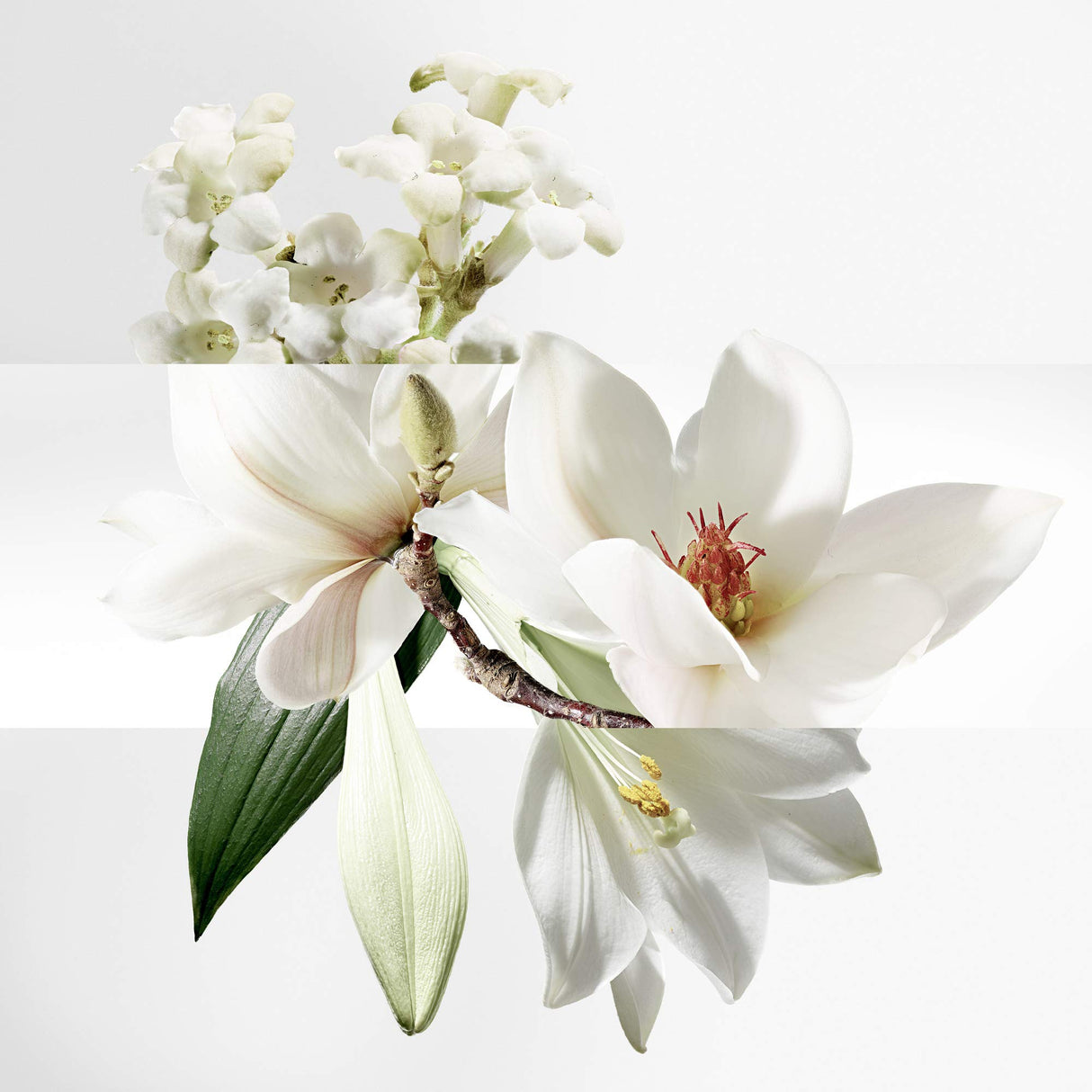 Un Jardin Sur La Lagune by Hermes for Women 3.3 oz Eau de Toilette Spray