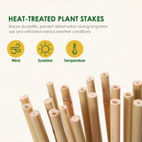 Cambaverd Bamboo Stakes 3ft, 50 Pack Bamboo Garden Stakes 3 Feet, Natural Plant Stakes for Tomatoes and Climbing Plant Support, Bamboo Sticks for Plants