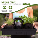 SOLIGT Extra Thick Heavy Duty 10 Pack Seed Starting Trays - Microgreens Growing Trays Seedling Plant Germination Starter Tray Transplant Fodder Flats, No Holes, No Leakage, Reusable, 14 * 10.8 * 2.3"