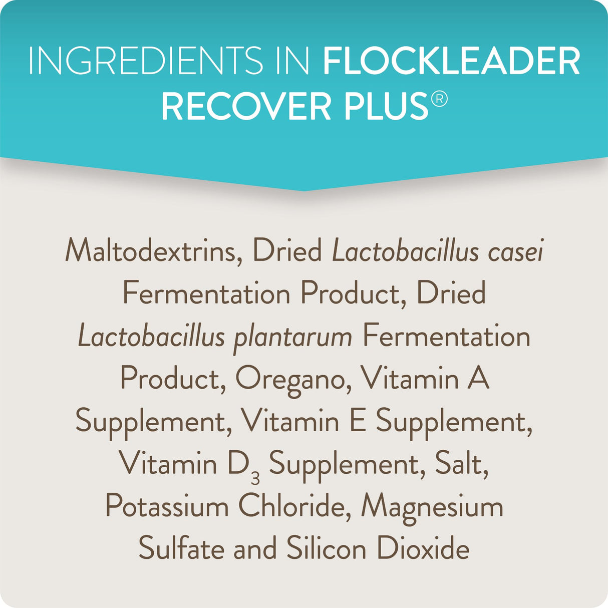 FlockLeader Recover Plus Moderate Stress Probiotic Water Supplement for Chickens with Electrolytes & Oregano, 8 oz