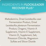 FlockLeader Recover Plus Moderate Stress Probiotic Water Supplement for Chickens with Electrolytes & Oregano, 8 oz