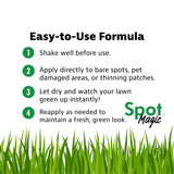 Spot Magic by Mark & Phil’s - Green Instant Lawn Grass Colorant Spray 24oz - Non-Toxic Pet & Kid Safe,- Long-Lasting Results for Concealing Brown & Pet-Damaged Grass Areas