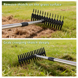 QZTODO Thatch Rake - 63 Inch Dethatcher Rake with Upgraded Dual-Action Tines, Adjustable Efficient Garden Tool for Lawns Dead Grass