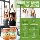 EverSmith Organics - Wildcrafted Irish Sea Moss Gel | Made in USA | Rich in Vitamins & Minerals | Sea Moss Gel Raw | Nutritional Supplement | Apple (16 oz)