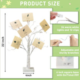 EAMBRITE Money Tree Gift Holder, Lighted Birch Tree 2FT 24LED, Battery/USB Powered Timer Light Up Display Twig Gift Card Tree with 12 Clear Clips and 6 Cards for Home Christmas Graduation Photo Memo