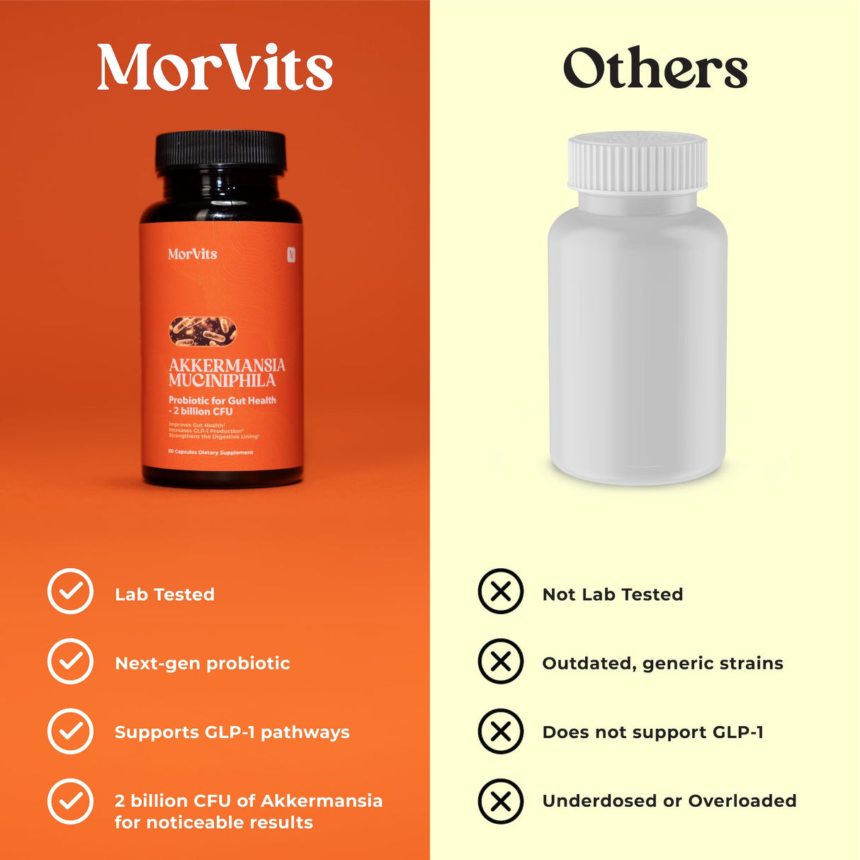 Akkermansia Probiotic | GLP-1 Supplement for Gut Health, Akkermansia Muciniphila, 2 Billion CFU Live Strain for Men & Women (60 Capsules, 1-Pack) - Inulin Prebiotic Fiber, Increases GLP1 Production