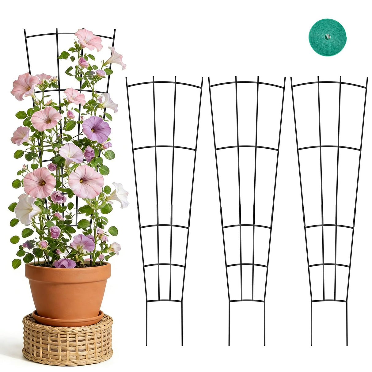 FAFTFTDY Trellis for Climbing Plants Indoor, 4 Pack 31'' Metal Plant Trellis Indoor for Potted Plants, Sturdy Plant Support Outdoor for Ivy Pothos Monstera Hoya Flower Vine, Fan Shape