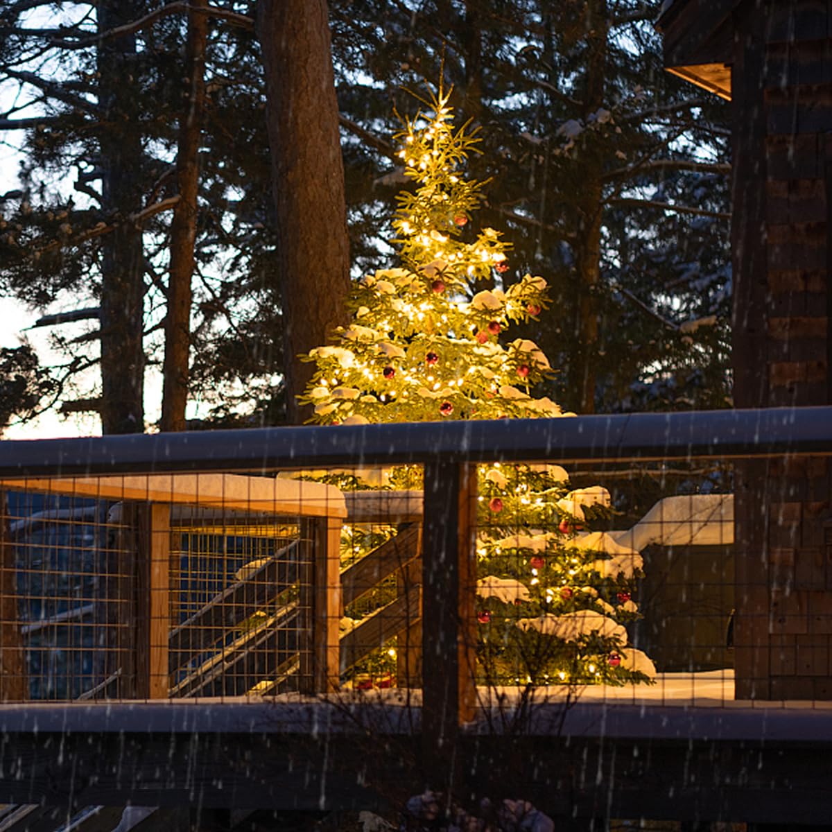 BORT 100 Pack C9 LED Replacement Light Bulb, C9 LED Bulbs for Christmas Outdoor String Lights, E17 Intermediate Base, Commercial Grade Holiday Bulbs Warm White 2700K