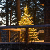 BORT 100 Pack C9 LED Replacement Light Bulb, C9 LED Bulbs for Christmas Outdoor String Lights, E17 Intermediate Base, Commercial Grade Holiday Bulbs Warm White 2700K