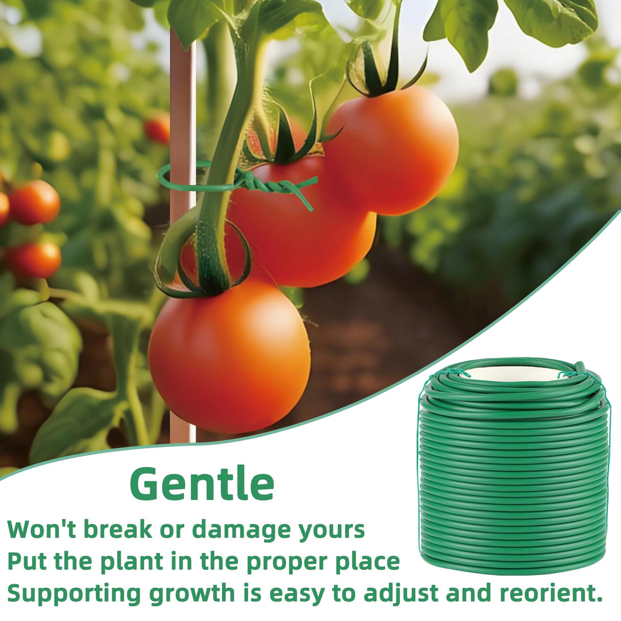 QenFree Soft Plant Ties, 164ft Garden Wire, 3.5mm Flexible Garden Ties for Climbing Plants, Tomato, Vines Plant, Flowers, Roses Plant Support