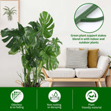 Yhtpouqe 12 Pack Plant Support Stakes, Plant Stakes for Indoor and Outdoor Plants. 39.37inch Plant Sticks with Extension Poles, Plant Clips, Plant Ties for Potted Monstera Plants, Climbing Plants