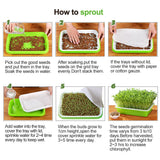 4 Layers Sprout Trays with Extra Strength Plastic Shelf Soil-Free Healthy Wheatgrass Seeds Grower & Storage Trays for Garden Home Office
