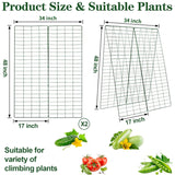 Kyrieval 48" Hx 18" L Cucumber Trellis for Garden A Frame Plant Support for Raised Bed, Outdoor Indoor Plant Garden Trellis for Climbing Plants