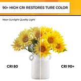 Hizashi 90+CRI Candelabra LED Light Bulbs 60 Watt, 2700K Warm White, E12 LED Bulb Dimmable, B11 Chandelier Light Bulbs, 6W, 550LM, Candle Light Bulbs, UL Listed, 12 Pack