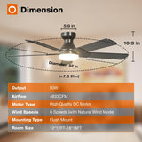 addlon Ceiling Fans with Lights, 52 inch Low Profile Ceiling fan with Light and Remote Control, Flush Mount, Reversible, 3CCT, Dimmable, Noiseless, Black Ceiling Fan for Bedroom, Indoor/Outdoor Use