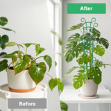 Qaobo Plant Trellis for Potted Plants 12 Pack Stackable Indoor Outdoor Climbing Houseplant Support with Garden Wire for Pothos Hoya Ivy Flower