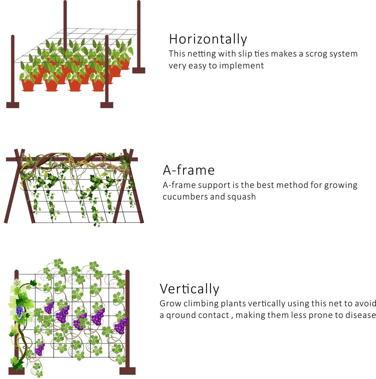 Toolazy Trellis Netting 59" x328' White - Heavy Duty 6" Mesh Plant Support Net for Climbing Vegetables, Garden Trellis Roll for Tomato Cucumber Pea Bean Vine Grow Tent Scrog Hydroponic