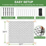 DQS Bird Netting 50' x 50', 2.4" Square Mesh Garden Netting, Poultry Net