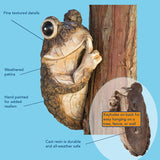 Bits and Pieces Keep Quiet Frog Tree Peeker - Adorable Tree Sculpture - Garden Decoration - Yard Art