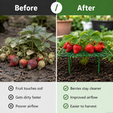 AWUREYIT 10 Pack Plastic Strawberry Plant Support Stands – Garden Wire-Style Frames for Raised Beds and Pots – Lightweight Stake Holders for Flower and Vegetable Plants – Outdoor and Indoor Gardening