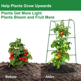 Cucumber Trellis for Raised Bed, U-Shape Garden Trellis for Climbing Plants Outdoor, Metal Arch Plant Support, Vegetables Trellis for Squash Grape Pea Bean Vines Flower (WxH=15.7x47inch)
