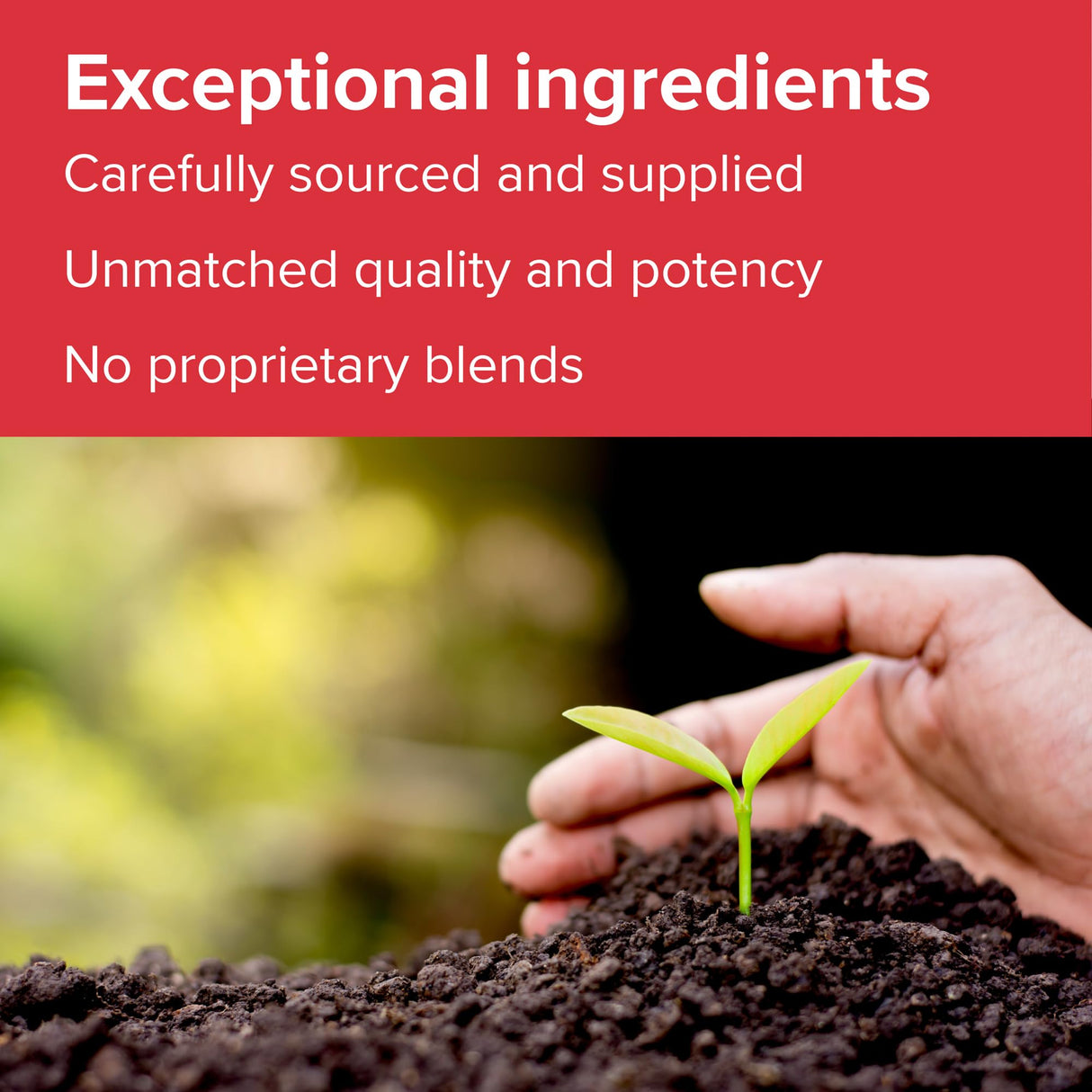 Vibrant Health, Boron, Vegetarian Support for Joint and Bone Health, 60 Capsules