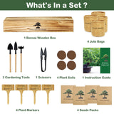 LUOJIBIE Bonsai Tree Kit, Complete Bonsai Starter Growing Kit, Christmas Birthday Gifts for Women Men Mom Dad Girls Boys, Gardening Gift for Plant Lovers, White Elephant Gifts for Adults