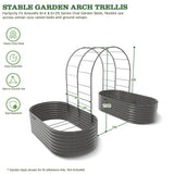 Anleolife 4x6ft Galvanized Garden Arch Trellis, Raised Beds and Vines