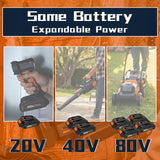 Koedsion 2Pack 3000mAh Battery Replacement for Worx PowerShare 20V Batteries WA3520 WA3525 WA3575 WA3669 WG151s WG155s WG251s WG255s WG540s WG545s WG890 WG891